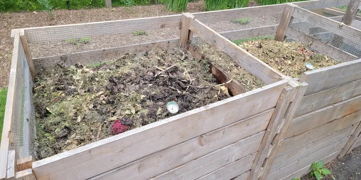 Composting at Home: A Beginner's Guide